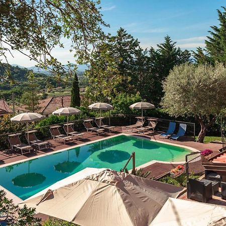 B&B La Mortella Albanella Exteriör bild